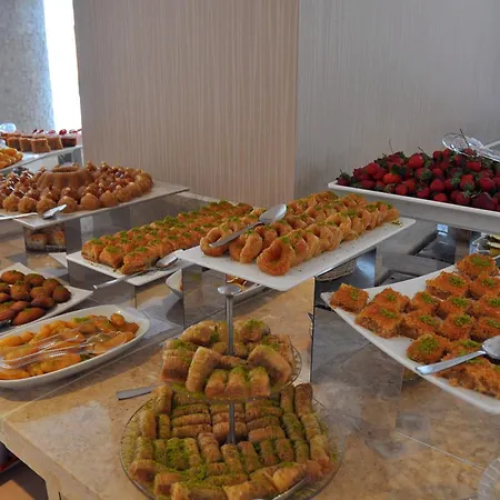 Elamir Resort Hotel-3